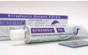 Nitrogesic Oint. 30Gm.