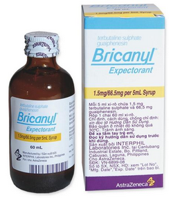 Bricanyl Syrup 100Ml